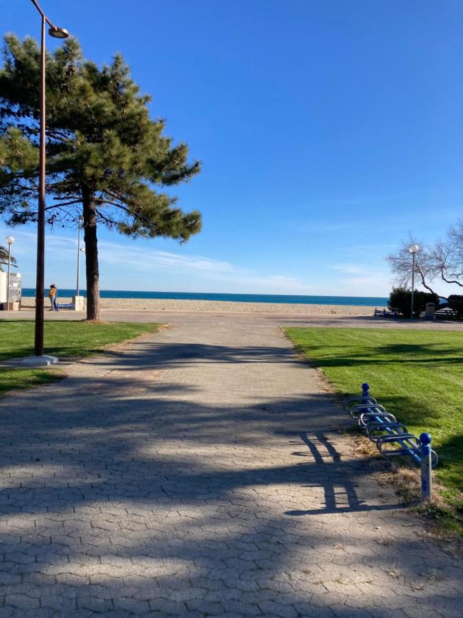Appartement Vue Sur Mer アルジェレス・シュル・メール エクステリア 写真